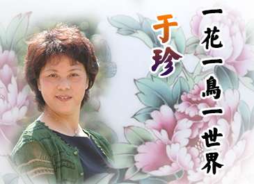 于珍：一花一鸟一世界